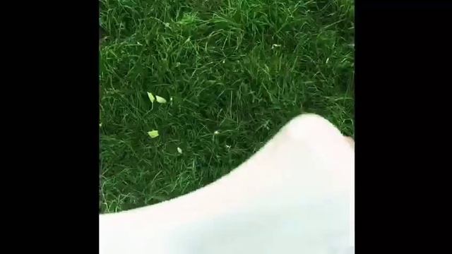 Обзор на наши слаймы 🙀😍‼️| 2x_s_slime| Almaty city ❤️ смотреть онлайн