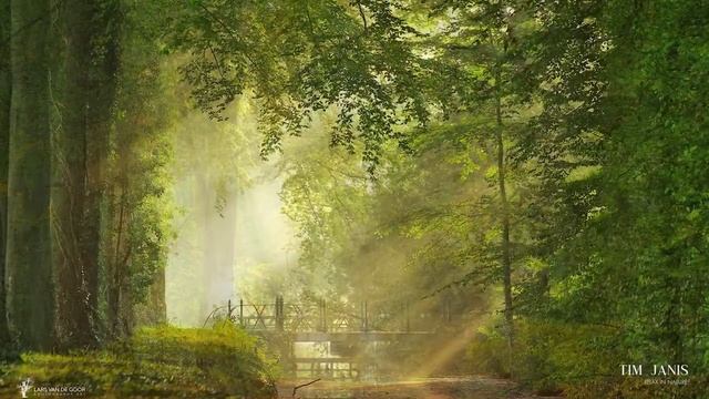 Peaceful Music, Relaxing Music, Instrumental Music Sunshine Meadow By Tim Janis