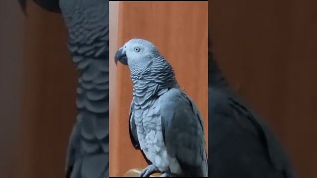 - Пойдем покурим? - Мы же бросили с тобой. - Ладно спасибо. смотреть онлайн