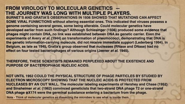 Belgium André Gratia, 1893-1950, Microbiology Spark Plug, Father of Bacteriocins смотреть онлайн