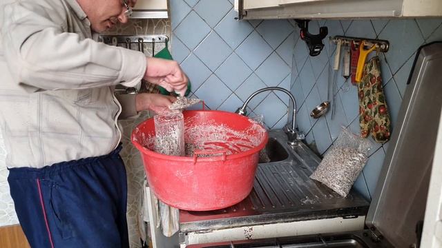 9 Большой пакетик мицелия грибов смотреть онлайн