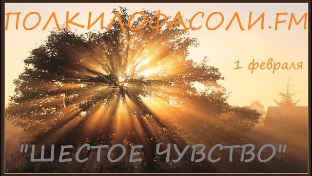 ПОЛКИЛОФАСОЛИ.FM - Шестое чувство (1 февраля)