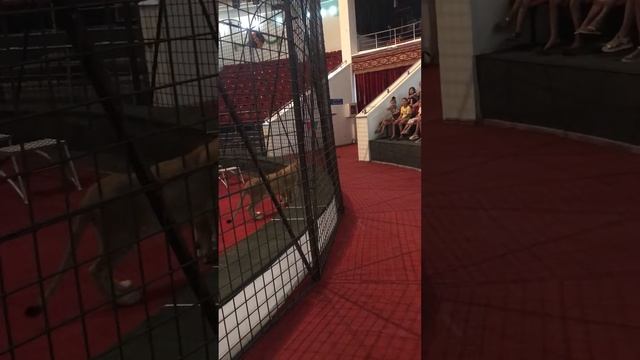 Открытая репетиция. Город Шымкент .2017 Хамада Кута смотреть онлайн