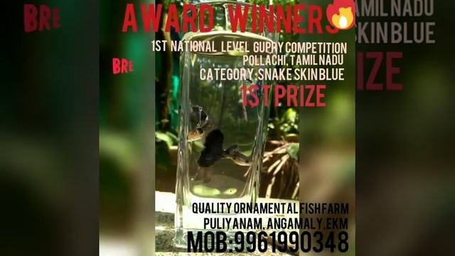 SNAKE SKIN BLUE смотреть онлайн