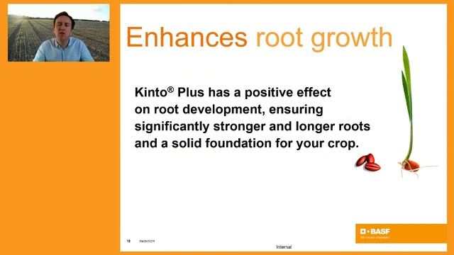 An Introduction to Kinto Plus