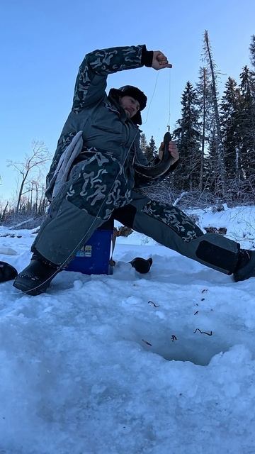 Рыбалка на Ленка зимой-Горная Рыбалка смотреть онлайн