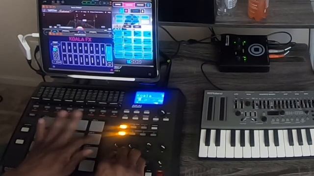 Koala sampler finger drumming with @laharpista Harp Breaks Vol 1 смотреть онлайн