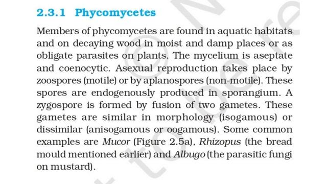 NCERT CH-2 Biological Classification ||NEET 2022|| Chapter Reading Part-4||