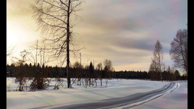 И  Бродский  И вечный бой #философскаялирика #поэты20века