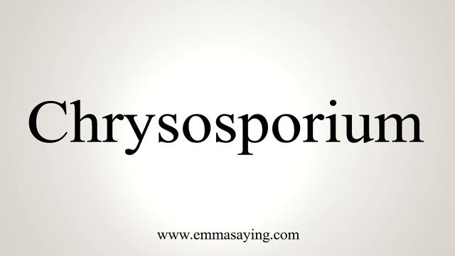 How To Say Chrysosporium смотреть онлайн