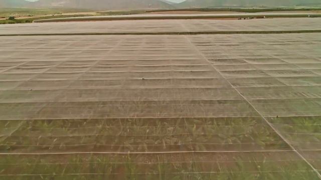 UNOH - Agri-Business Management Degree 2022 смотреть онлайн