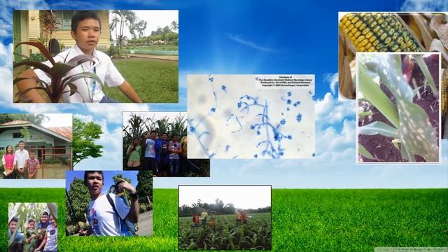 Munting Bayani ng Kalikasan Champion-Division of Bukidnon смотреть онлайн