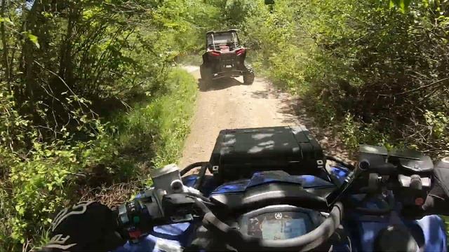 Girls rippin' the RZR, Boys on the Quads! Yamaha Grizzly, Suzuki KingQuad смотреть онлайн