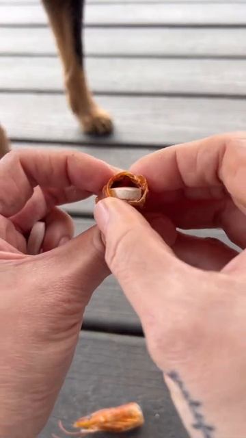 How to Make Droolicious Homemade Dog Pill Pockets / Dried Shrimp #shorts смотреть онлайн