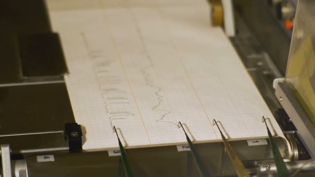 История Арлис Перри