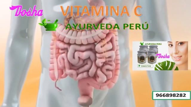vitamina c смотреть онлайн