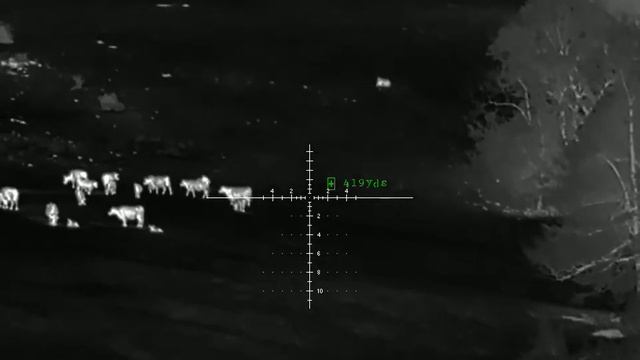 Showing what the PARD SA-32-45 lrf can do!!! (thermal scope) (coyote hunting) смотреть онлайн