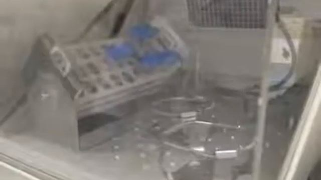 Broth Microdilution Screening Method: Detect New Antifungal Compounds l Protocol Preview смотреть онлайн