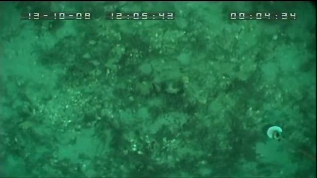 Disc 3 13102008 Scapa Flow TV 3 смотреть онлайн