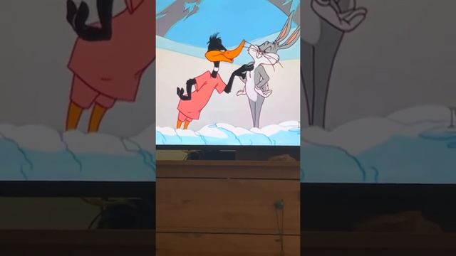 Little furry bunny rabbit and George смотреть онлайн