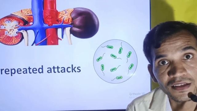 Urinary Tract Infection (UTI) English Version смотреть онлайн