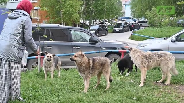 Спасти рядового РЕКСА