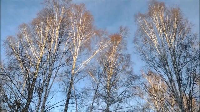 Зимнее январское небо. Видеозарисовка смотреть онлайн