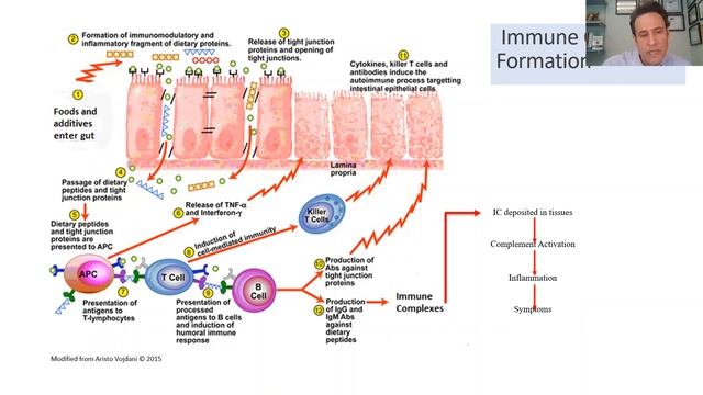 A4M Webinar with Dr. Silverman смотреть онлайн