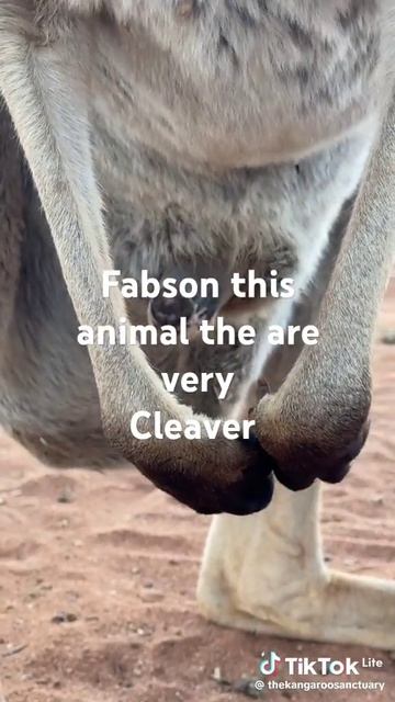 June 21, 2024 смотреть онлайн