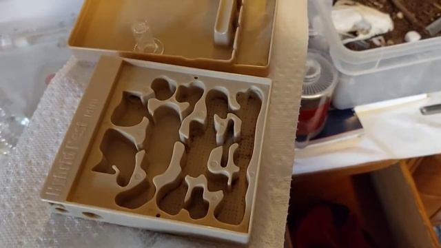 Cleaning Out My Ant's Home - Aphaenogaster Picea смотреть онлайн