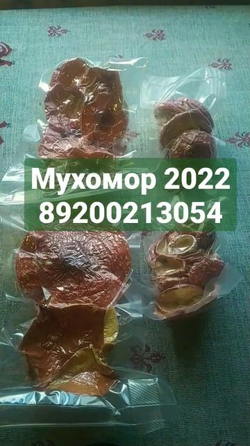 #мухомор #микродозинг 2022 год. 89200213054