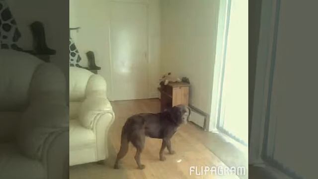 Orkie. Xxx смотреть онлайн