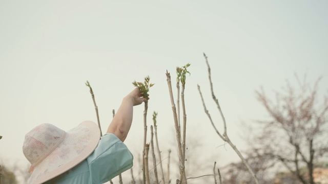 봄의 보약 두릅으로 만든 스페셜한 요리_흙에서 식탁으로 смотреть онлайн