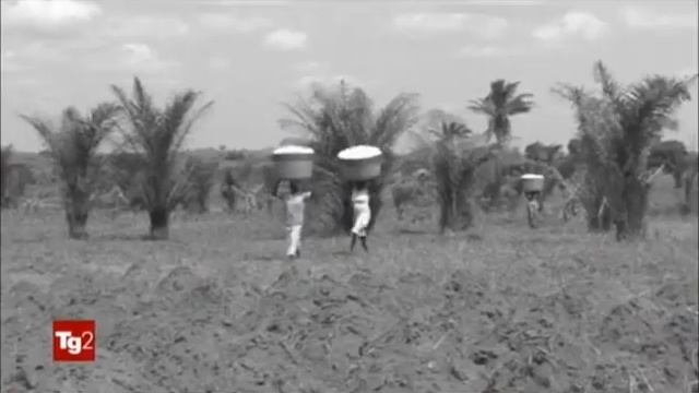 Io ero l'Africa a Tg2 Achab Libri смотреть онлайн