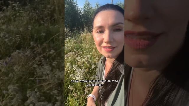 Топ трав для кролика смотреть онлайн