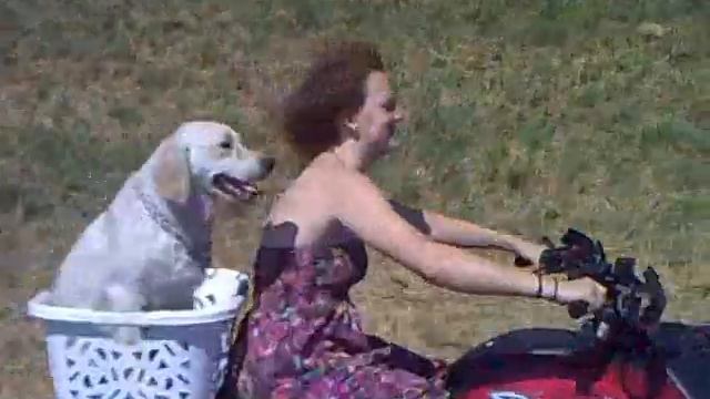 PAULINA W. GRIZZLY 700 смотреть онлайн