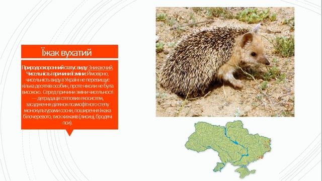 Червона та Зелена книги України смотреть онлайн