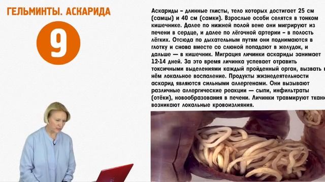 Осторожно гельминты! О.А.Бутакова