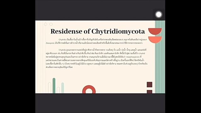 Phylum Chytridiomycota смотреть онлайн