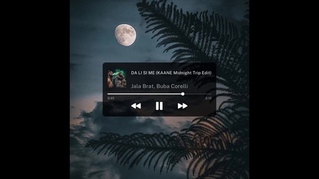 Jala Brat, Buba Corelli - Da Li Si Me (KAANE Midnight Trip Bootleg) смотреть онлайн