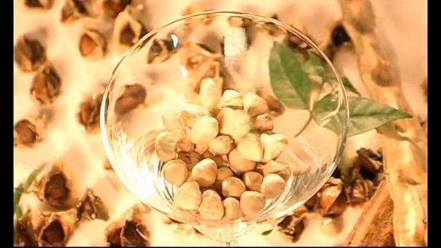 สบู่น้ำมันมะรุม (MORINGA OIL SOAP) - I