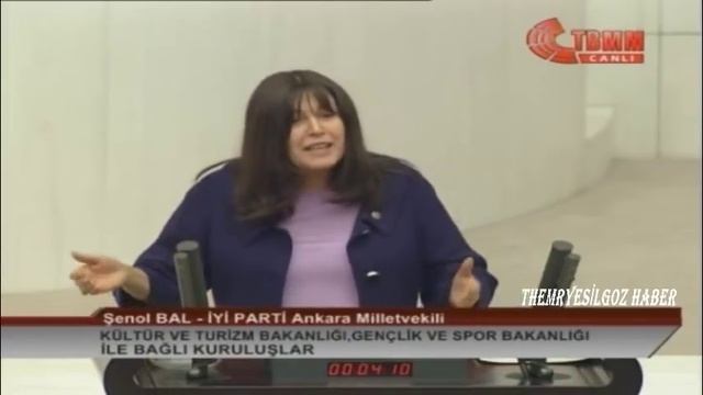 İYİ PARTİ ANKARA MİLLETVEKİLİ ŞENOL BAL MECLİS KONUŞMASI-14 ARALIK 2018 смотреть онлайн