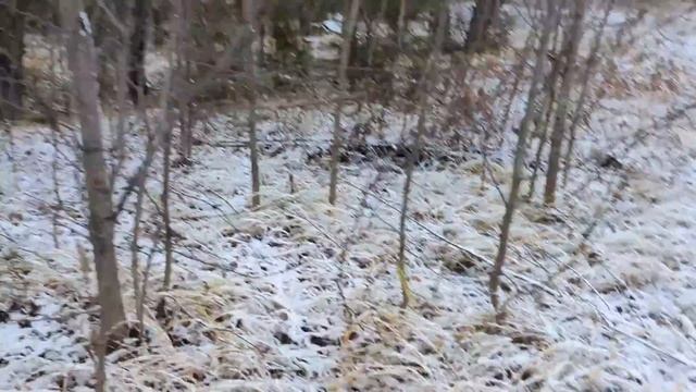 Что ПРОИСХОДИТ на новом участке. ДЕРЕВНЯ ТЕПЕРЬ ПОД ОХРАНОЙ! Полка своими руками смотреть онлайн