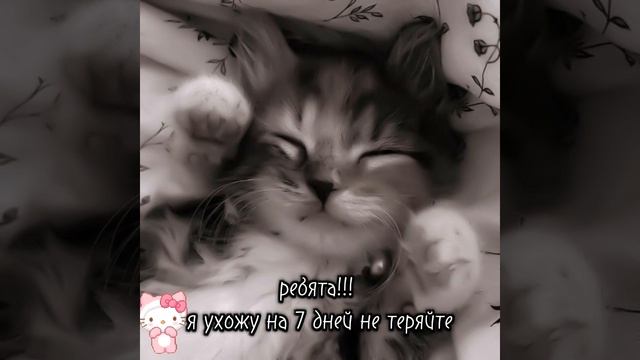 сори... смотреть онлайн