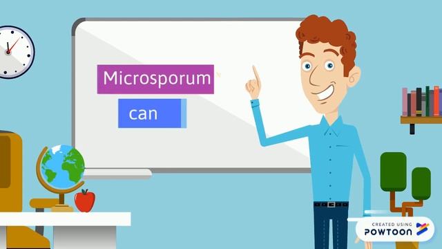 Microsporum canis смотреть онлайн