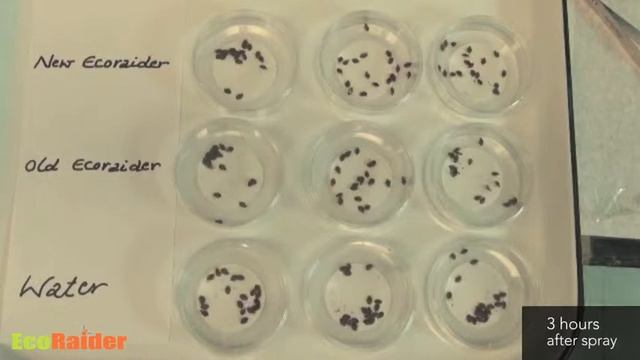 EcoVenger® (Formerly EcoRaider) Proven 100% Effective in Rutgers University Bed Bug Study смотреть онлайн