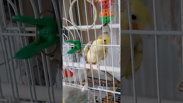 Сеня хороший смотреть онлайн