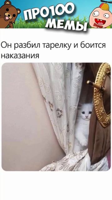 #приколы #лютыеприколы #мемы #мем #мемы2022 #юмор #коты #кошки #котики #котята #кот #мемыпро100 смотреть онлайн