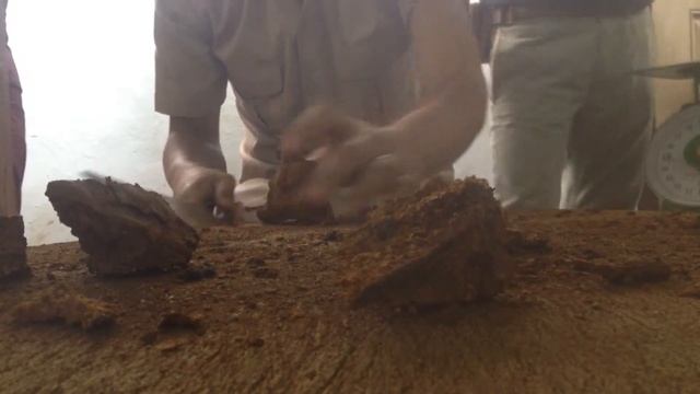 Cutting Mushroom, Siem Reap, Cambodia