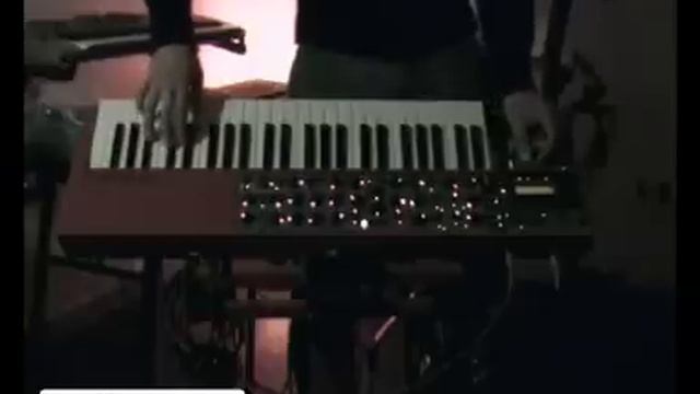 FIXATION SOLO ON NORD LEAD 3 | Synthcloud смотреть онлайн